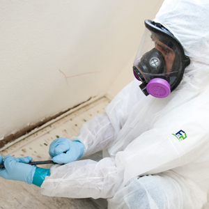 Mold Removal & Remediation
