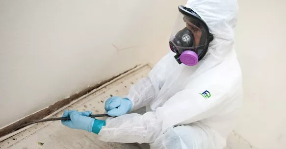 Mold Remediation