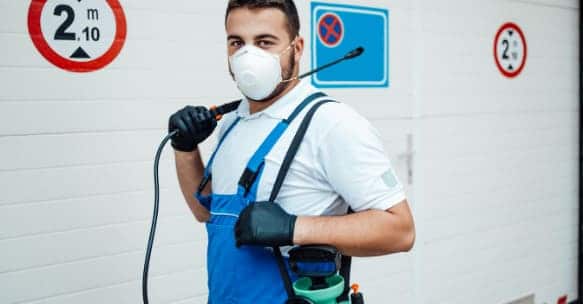 Services to disinfect in different industries